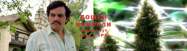 крисы Красноперекопск