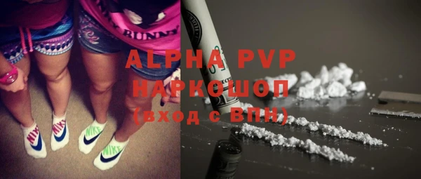 apvp Краснослободск
