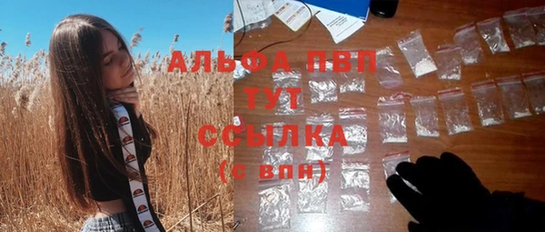 apvp Краснослободск