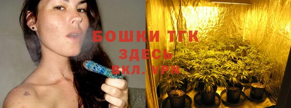 крисы Красноперекопск