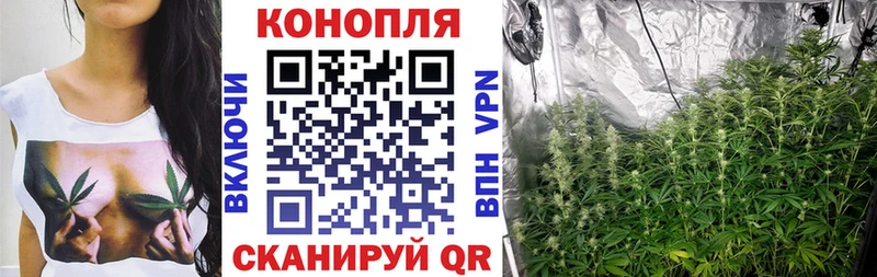 Марихуана семена  Купить  Осинники 
